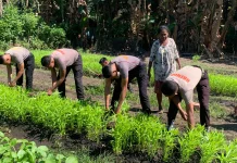 Brimob Kompi 4 Alor Dorong Ketahanan Pangan Melalui Kegiatan Produktif