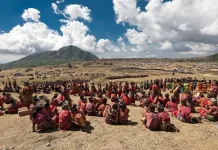 Festival Fulan Fehan Dinilai Tumbuhkan Kecintaan Generasi Muda pada Budaya Belu