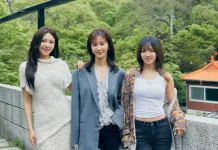 Hyoriso SNSD Resmi Debut lewat Single Digital Skibidi