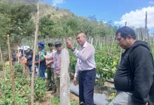 Pertanian Menjadi Pilihan Utama Tingkatkan Kesejahteraan