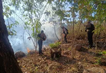 Personil Polres TTU Mampu Padamkan Kebakaran Hutan di Keun-Manufui
