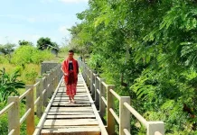 Inspirasi Pemuda NTT Ubah Tren Wisata