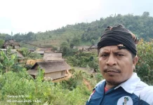 Luri Panamu Hijaukan Lahan Kritis Sumba