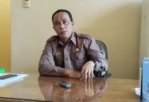 Kadis Peternakan Belu Penjualan Ternak Awas Terjerat Praktek Calo