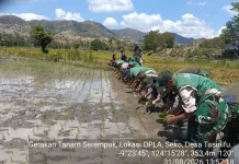 PPL TTU Dorong Petani Hadapi Perubahan Iklim