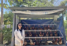 PAUD Ecclesia Atambua Ciptakan Sekolah Inovatif lewat Program Garden of School