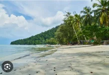 Peran Aktif Masyarakat Menjaga Pesisir Pantai