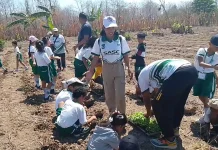 Siswa SD Santa Angela Atambua Antusias Belajar Bercocok Tanam