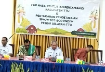 Pemkab TTU-Pesisir Selatan Lakukan Pertukaran Pengetahuan di Bidang Pertanian
