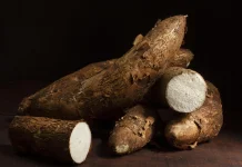 Bukan Sekadar Pangan Lokal, Ini Khasiat Nutrisi Singkong untuk Tubuh