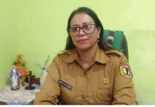 Distan Belu Bergerak Cepat Atasi Serangan Hama di 30 Hektare Lahan di MT II