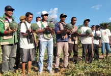 DPC HKTI TTU Membeli Semangka Petani Inbate dan Dipasok Langsung ke Dapur SPPG