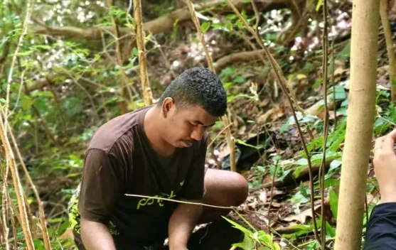 Pangan Lokal, Benteng Ketahanan Pangan Daerah