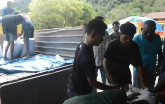 Menjaga Stabilitas Harga, Bulog Atambua Membeli Beras Petani