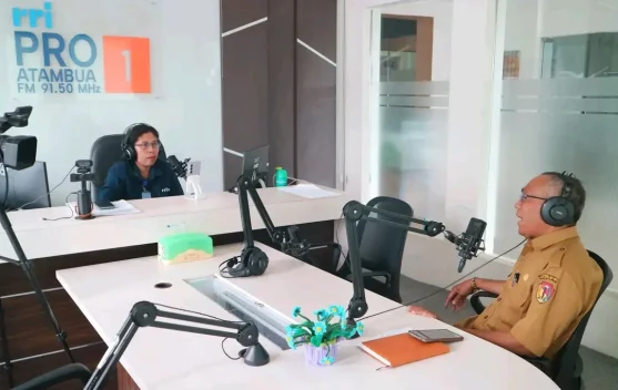 IB Solusi Atasi Penurunan Kualitas Ternak Belu