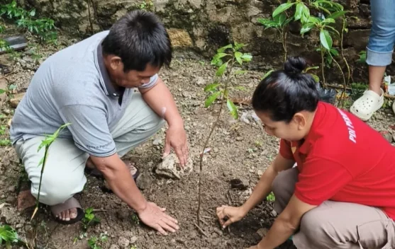PDIP TTU dan GBI Go-Send Lakukan Penghijauan untuk Cegah Longsor di Kali Kenari