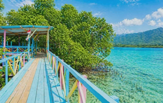 Titian Mangrove Pesinghong Jadi Pilihan Wisata saat Jenuh di Rumah
