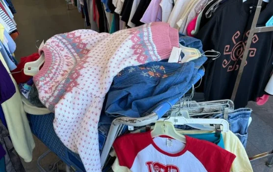 Anak Muda Dinilai Masih Ragu Memulai Thrifting