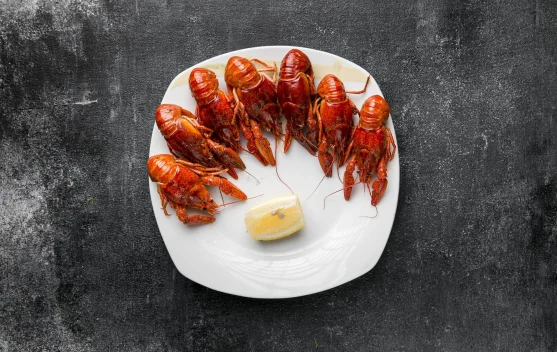 Kuliner Nusantara, Sensasi Nikmat dan Segarnya Udang Galah