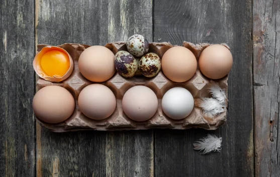 Rahasia Memilih Telur Terbaik untuk Kesehatan Optimal Anda