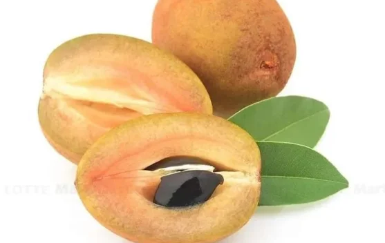 Minat Masyarakat Belu terhadap Buah Sawo Masih Tinggi