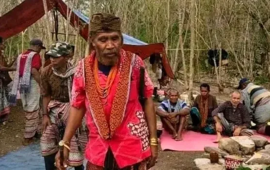 Warisan Leluhur Tunbaba: Membaca Bahasa Alam untuk Pertanian Berkelanjutan