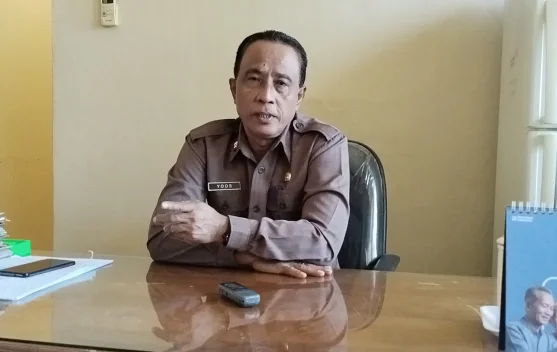 Cegah Rabies Kabupaten Belu Gencarkan Vaksinasi 35 Ribu Dosis bagi Hewan Anjing