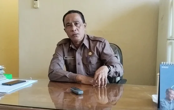 Kadis Peternakan Belu Penjualan Ternak Awas Terjerat Praktek Calo