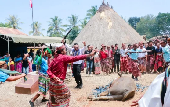 Wabup Belu Hadiri Peresmian Rumah Adat Salakwain
