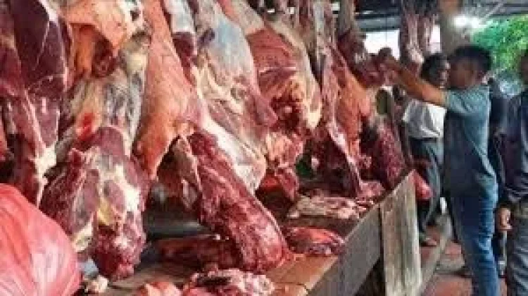Daging Meugang Idulfitri Dipastikan Aman, Stok Ternak di Aceh Capai 16 Ribu Ekor