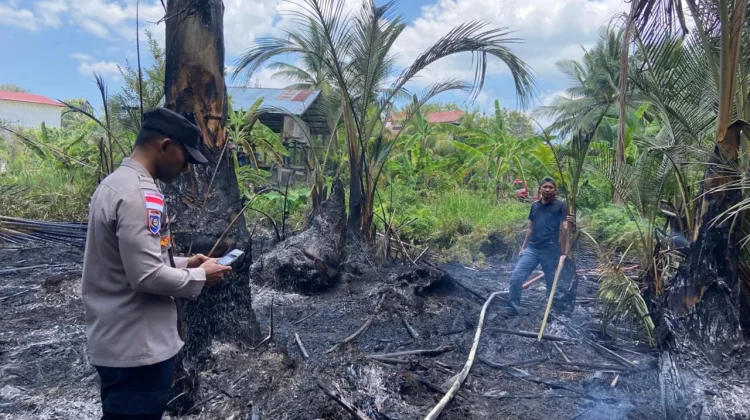 Dua Hektar Lahan di Montasik Aceh Besar Terbakar