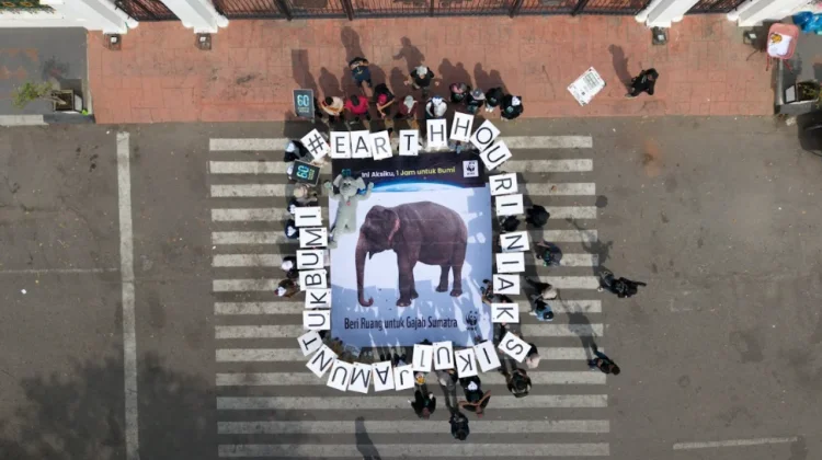 Earth Hour 2026: Saatnya Selamatkan Gajah Sumatera
