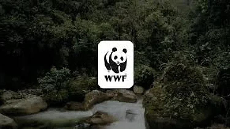 WWF Indonesia Tekankan Pentingnya Kesadaran Lingkungan di Earth Hour