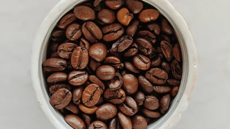 Mengenal Perbedaan Robusta dan Arabika