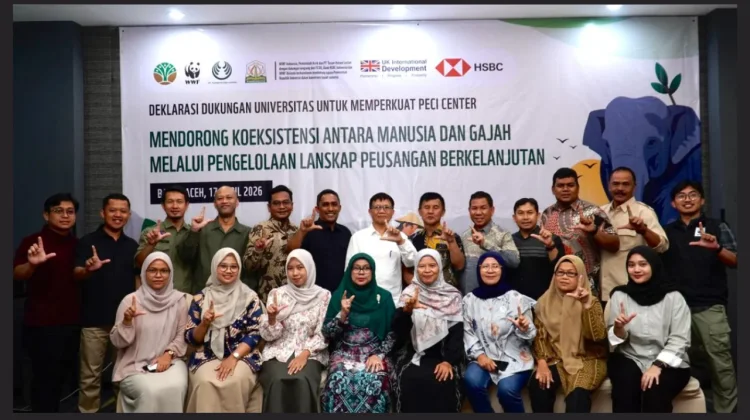 Dukungan Mitra Perkuat Upaya Konservasi Gajah dan Ekonomi Berkelanjutan