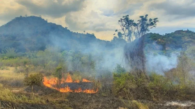 BMKG Jelaskan Penyebab Lonjakan Hotspot di Aceh dalam Beberapa Hari Terakhir