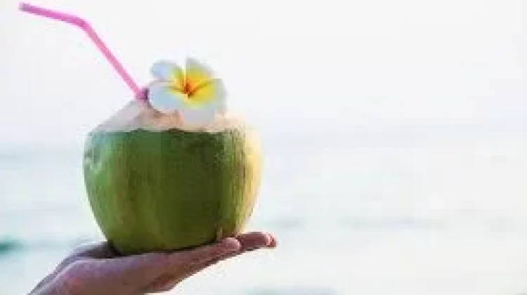 Rekomendasi Minuman Segar saat Cuaca Panas, dari Es Kelapa hingga Infused Water