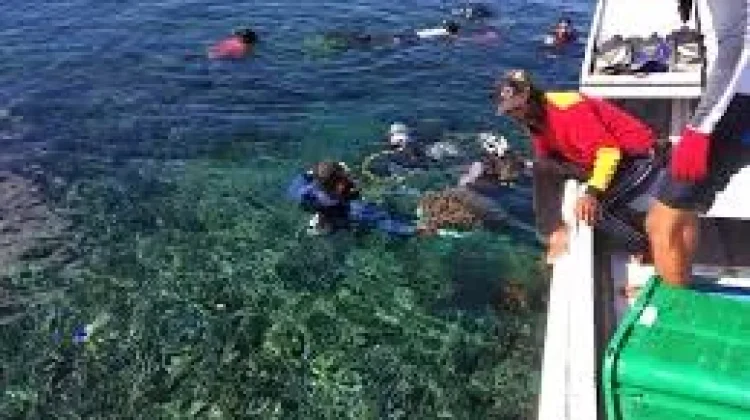 Libatkan Nelayan, Konservasi Laut Jadi Sumber Penghasilan Baru bagi Warga