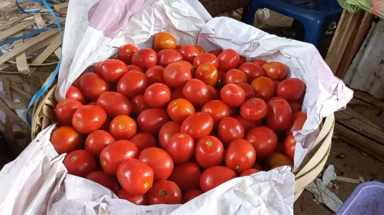 Harga komoditas di Pasar Induk Lambaro Mulai Merangkak Naik