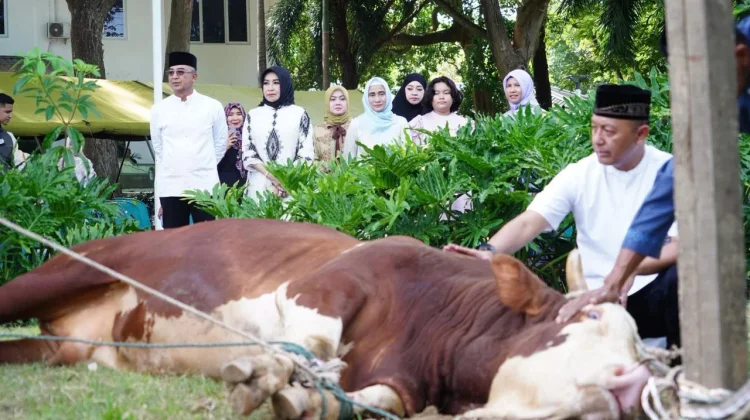 Kodam Iskandar Muda Sembelih 23 Ekor Hewan Kurban
