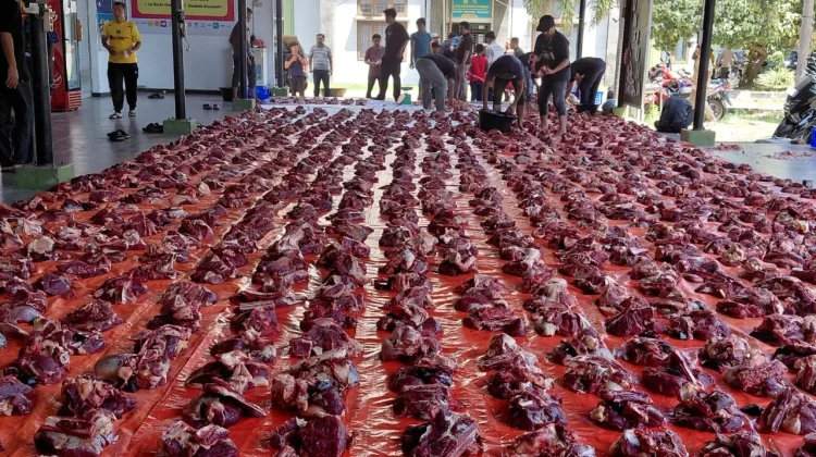 Unmuha Sembelih 14 Hewan Kurban, Salurkan 780 Paket Daging