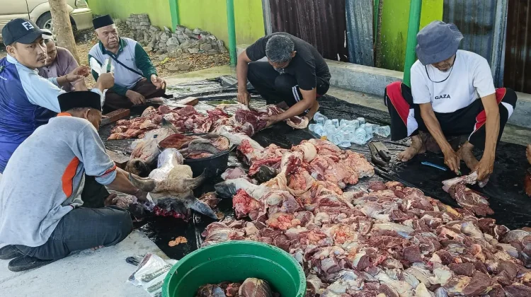 Kemenag Subulussalam Sembelih Dua Ekor Hewan Kurban pada Iduladha