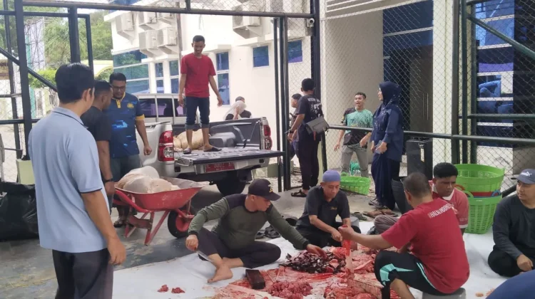 Kementerian Agama Aceh Sembelih Sembilan Ekor Hewan Kurban