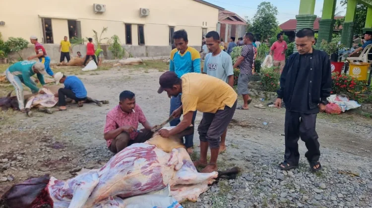 ASN Kemenag Aceh Tenggara Distribusi Hewan Kurban untuk Warga