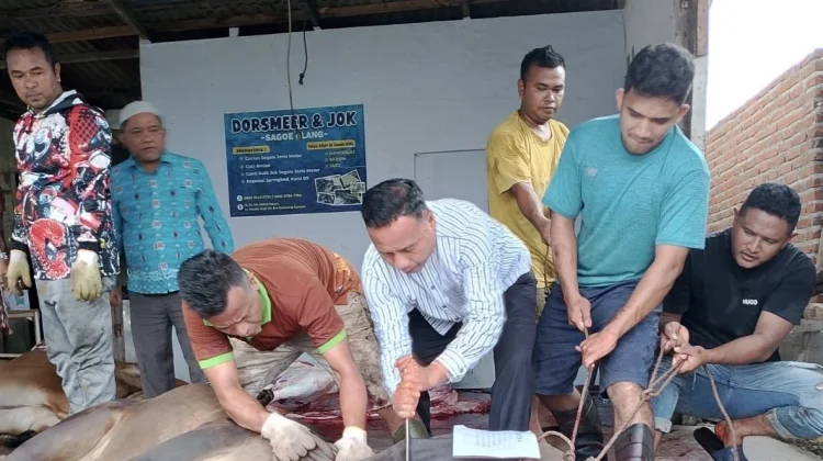 Kemenag Akhiri Tasyrik dengan Penyembelihan Hewan Kurban