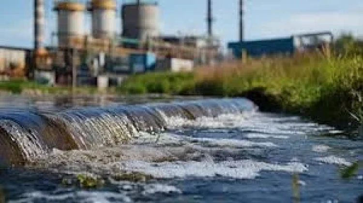 Dosen USK: Limbah Organik Sungai Berpotensi Jadi Sumber Pakan dan Pupuk Perikanan