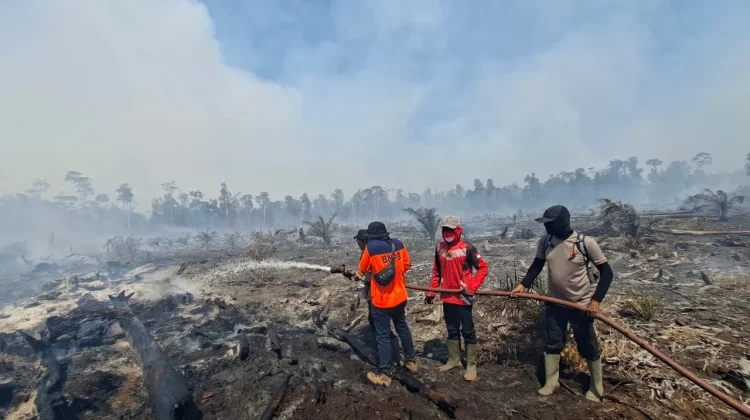 Belasan Hektar Lahan Terbakar di Nagan Raya