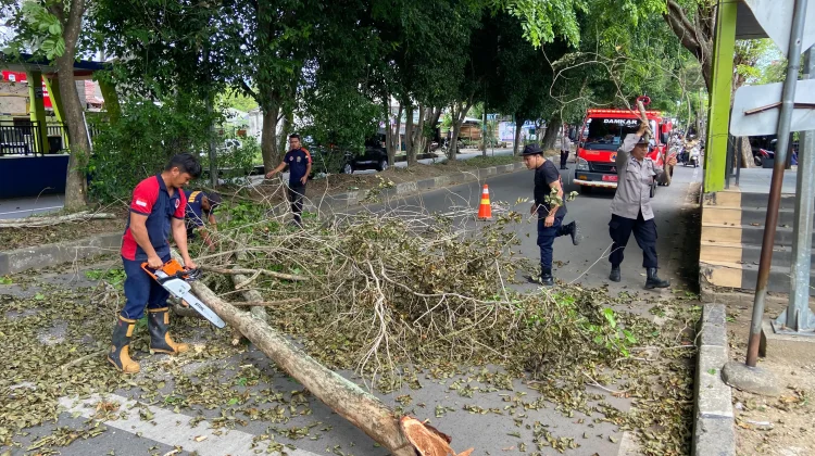 Angin Kencang Sebabkan Dahan Pohon Patah, Jalan Arah Bandara SIM Sempat Macet