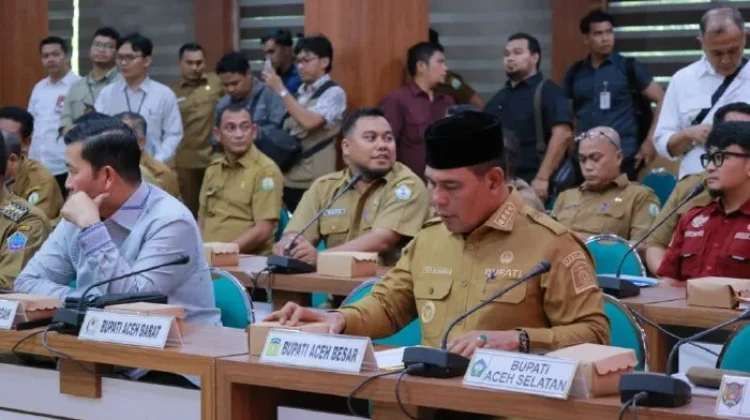 Sinergi Pemerintah Pusat dan Daerah Penting Percepat Pemulihan Pascabencana