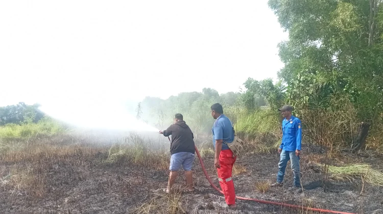 Kebakaran Lahan Terjadi di Muara Dua Lhokseumawe